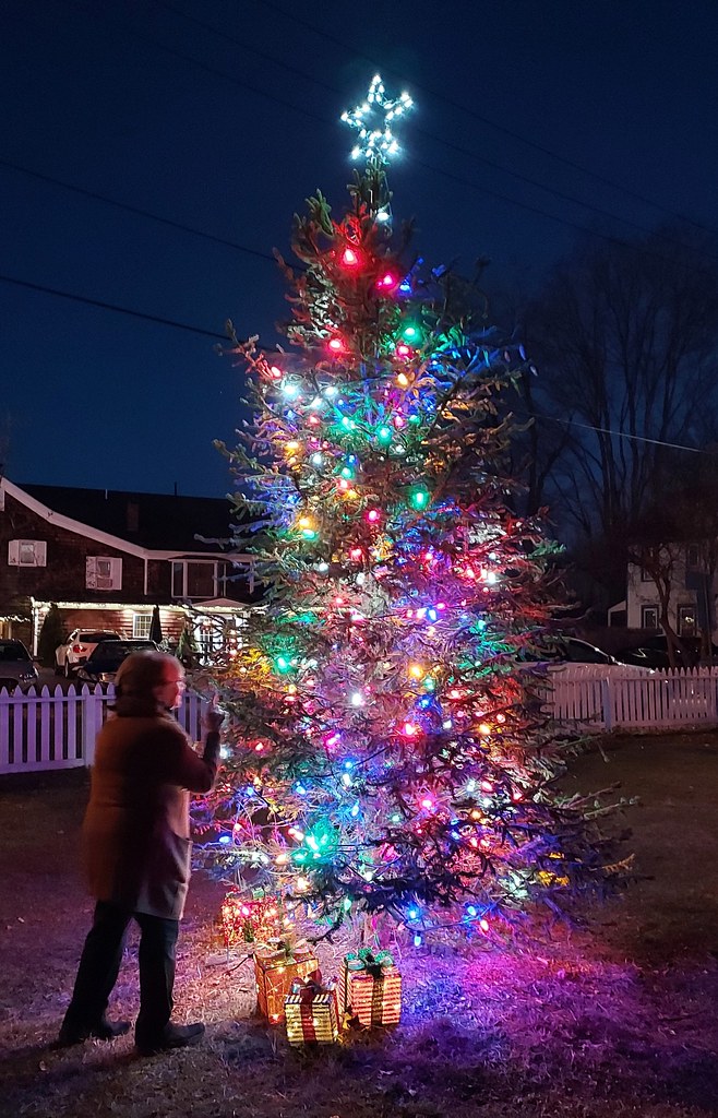 Christmas Tree, Warwick, NY 2023 CityOfDave Flickr