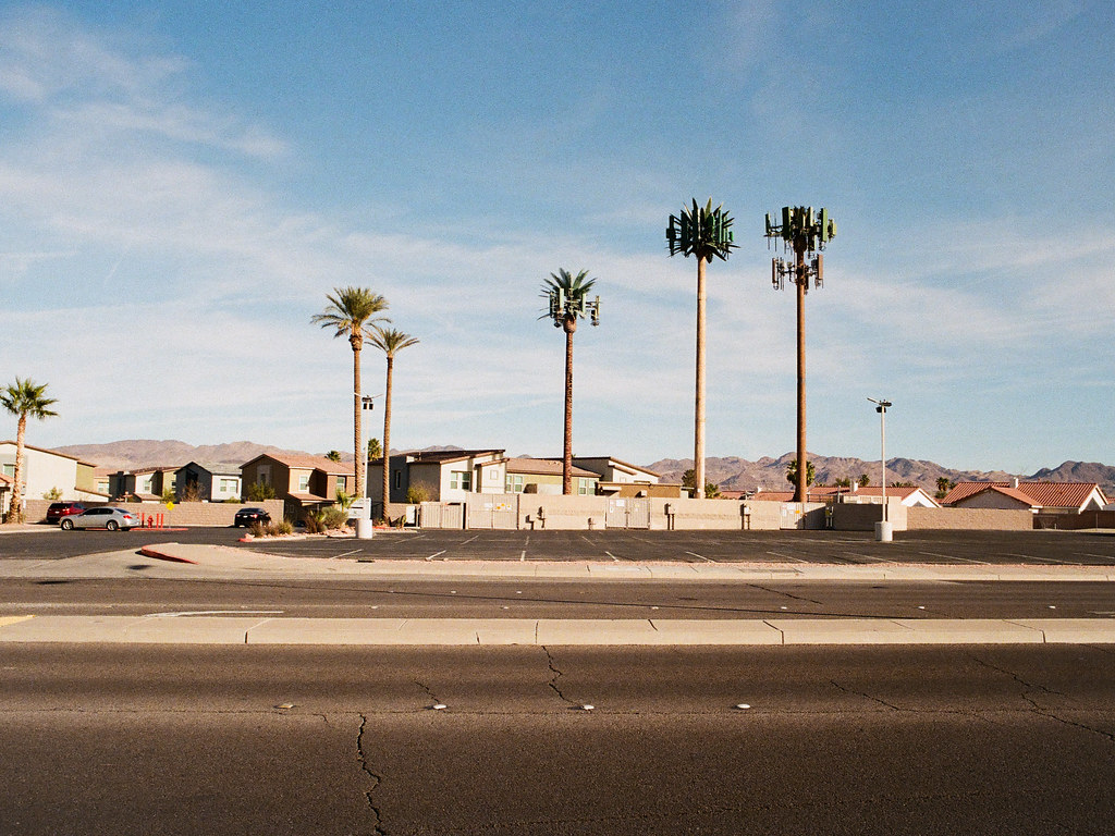 Cell Towers I love these fake palm tree cell towers. I fin… Flickr