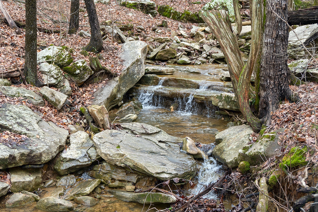 Bailey Cove Branch Watefall On The Jones Valley Loop Trail… Flickr