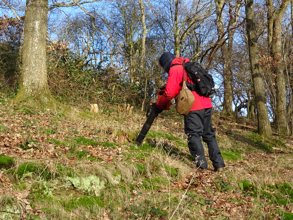 Walcott Wood, Shropshire vacuum sampling A cold day with… Flickr