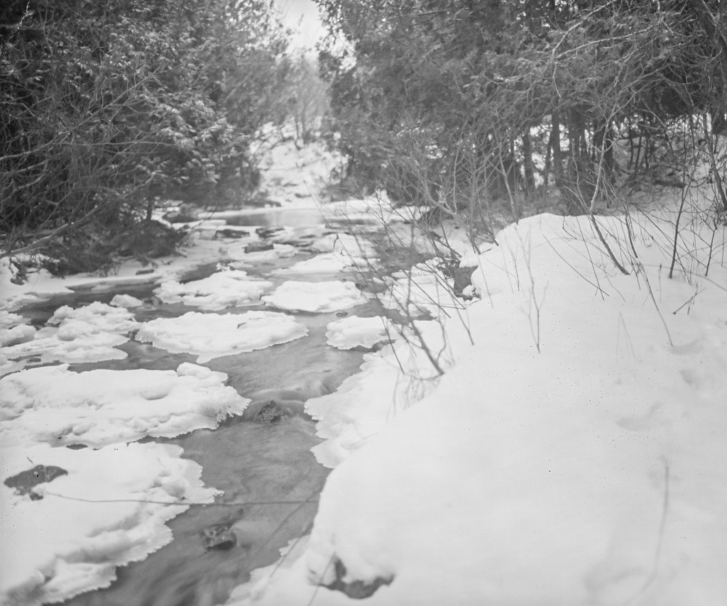 Cold brook Shot with a 1943 Graflex Speed Grahiic and pape… Flickr