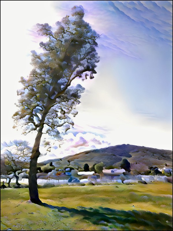 San DiegoRancho Mirage trip Feb 2024 Flickr