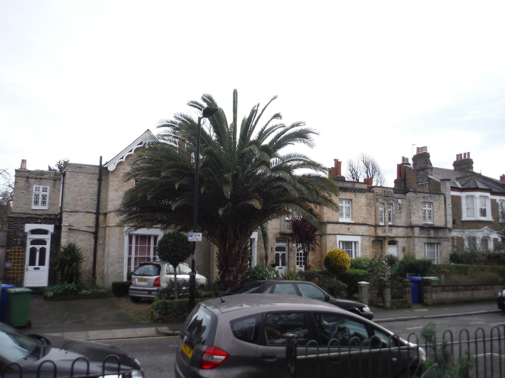 Houses and Palm Tree, Elm Grove, Peckham SWC Short Walk 59… Flickr