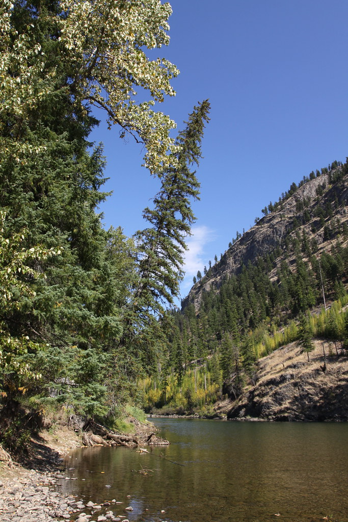 Kettle River, trees, and rock slopes, southern British Col… Flickr