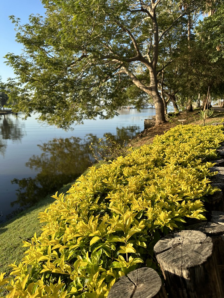 iPhone photography patricia ulloa Flickr