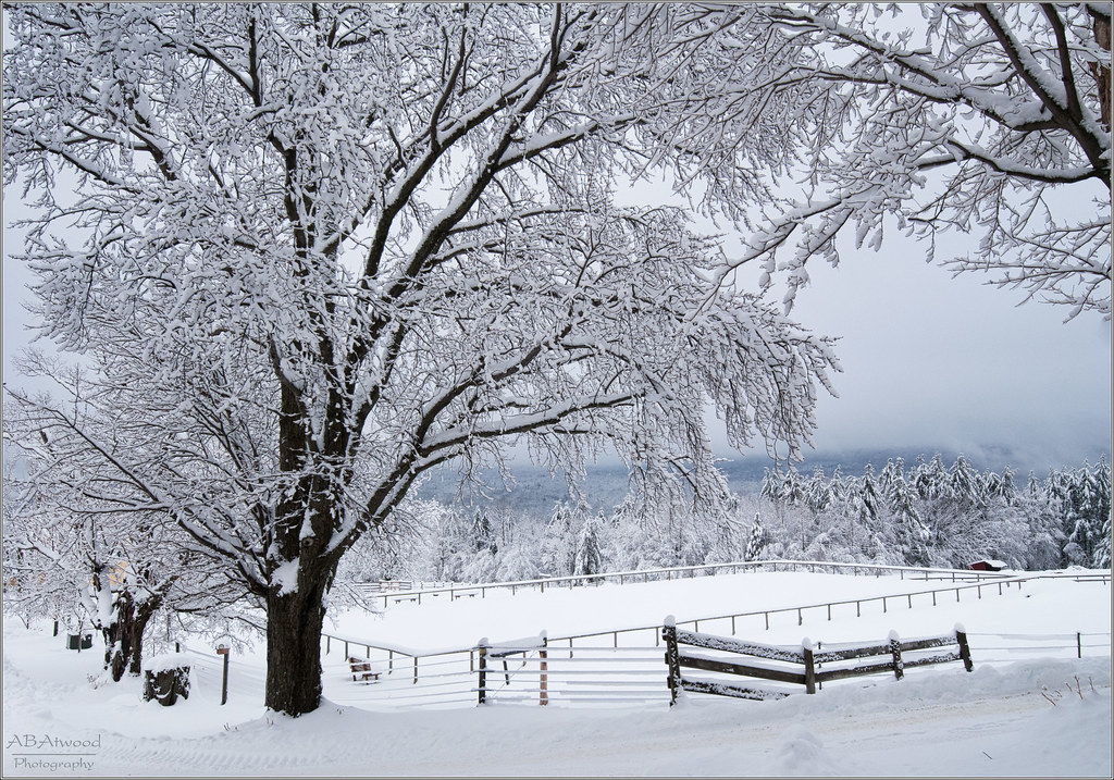 Lincoln Vt Elderberry Farm 20141215 019u Alan Atwood Flickr