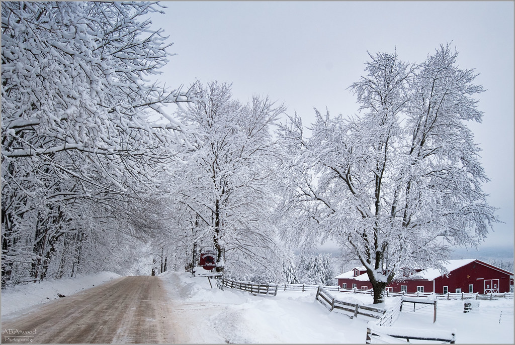 Lincoln Vt Elderberry Farm 20141215 004u Alan Atwood Flickr
