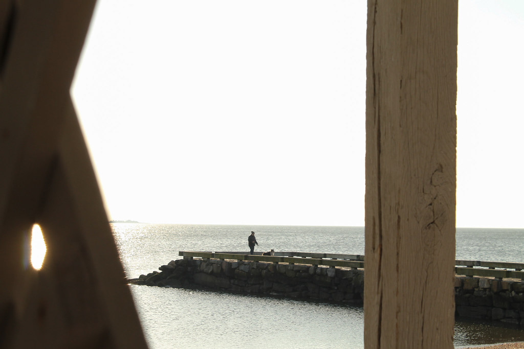 Framing Hayley Dean Flickr