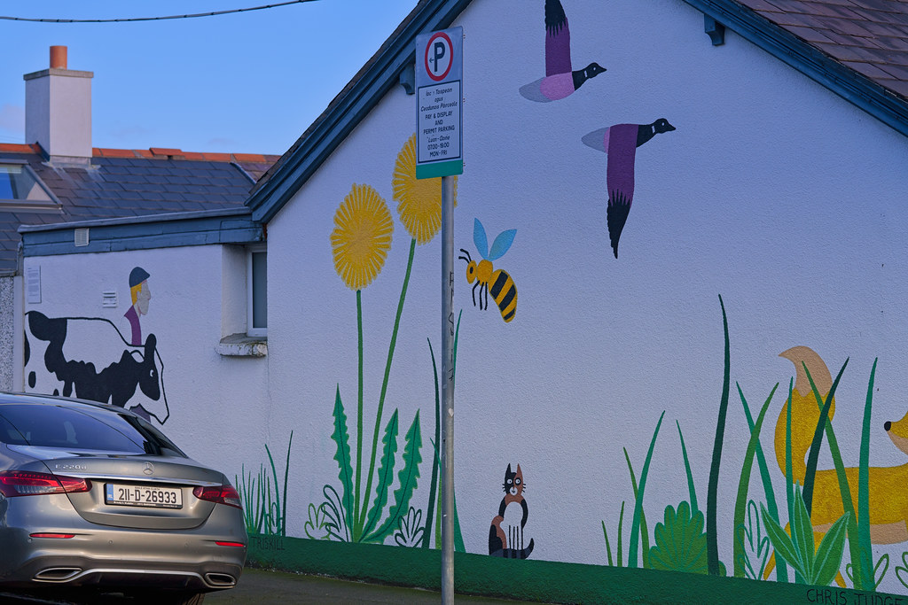 STREET ART ON HALLIDAY ROAD IN STONEYBATTER [ARTISTS IN DUBLIN FACE A