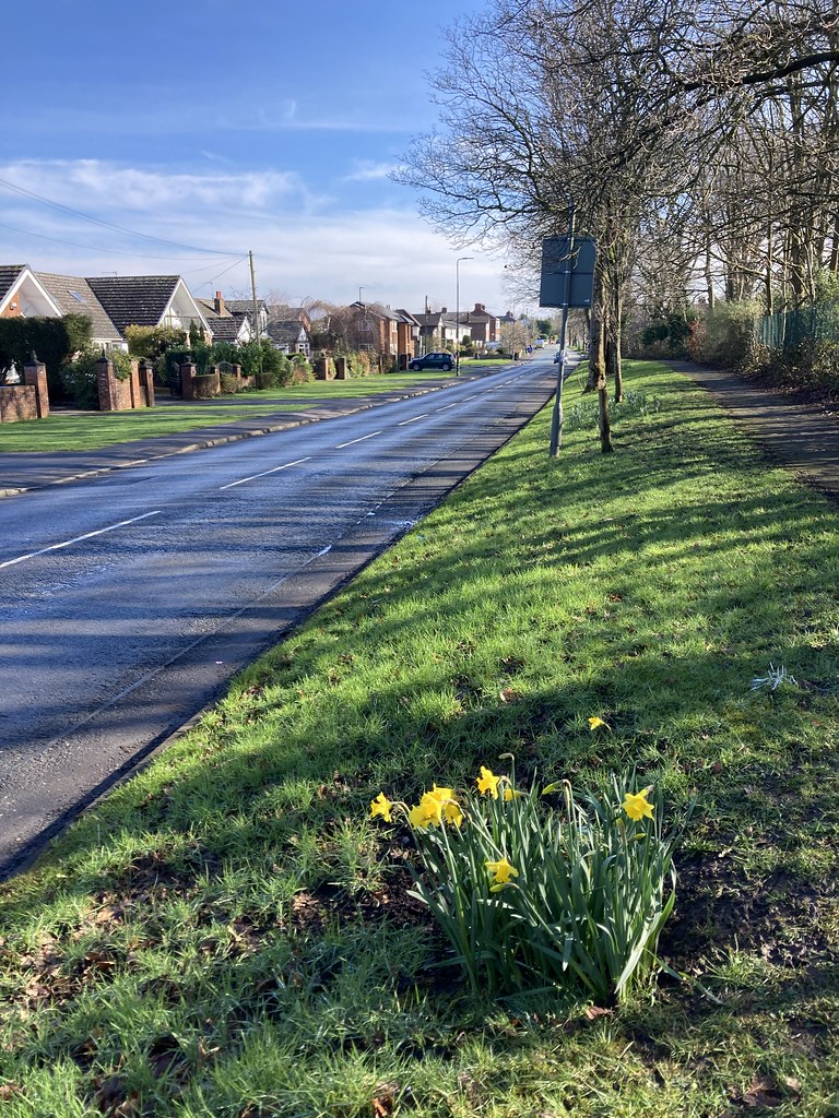 Davyhulme Road, Davyhulme Anthony Shaw Flickr