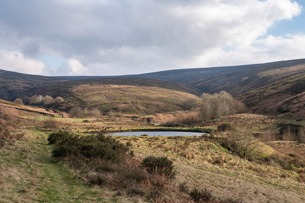 Hurst Brook valley Reclaimed land from the after Flickr