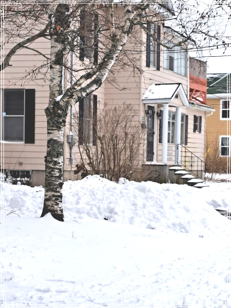 LOTS OF SNOW DOWN TODAY. NO SCHOOL! Donna Flickr