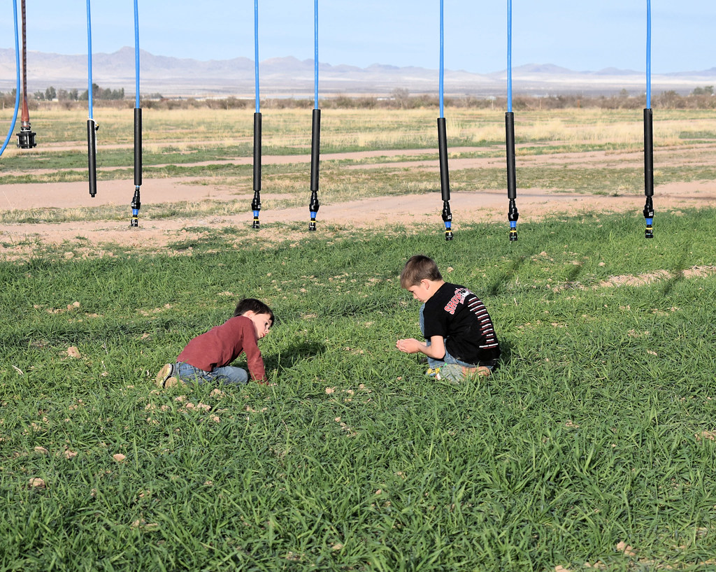 DSC_3102a JDD Farms Tina A Thompson Flickr