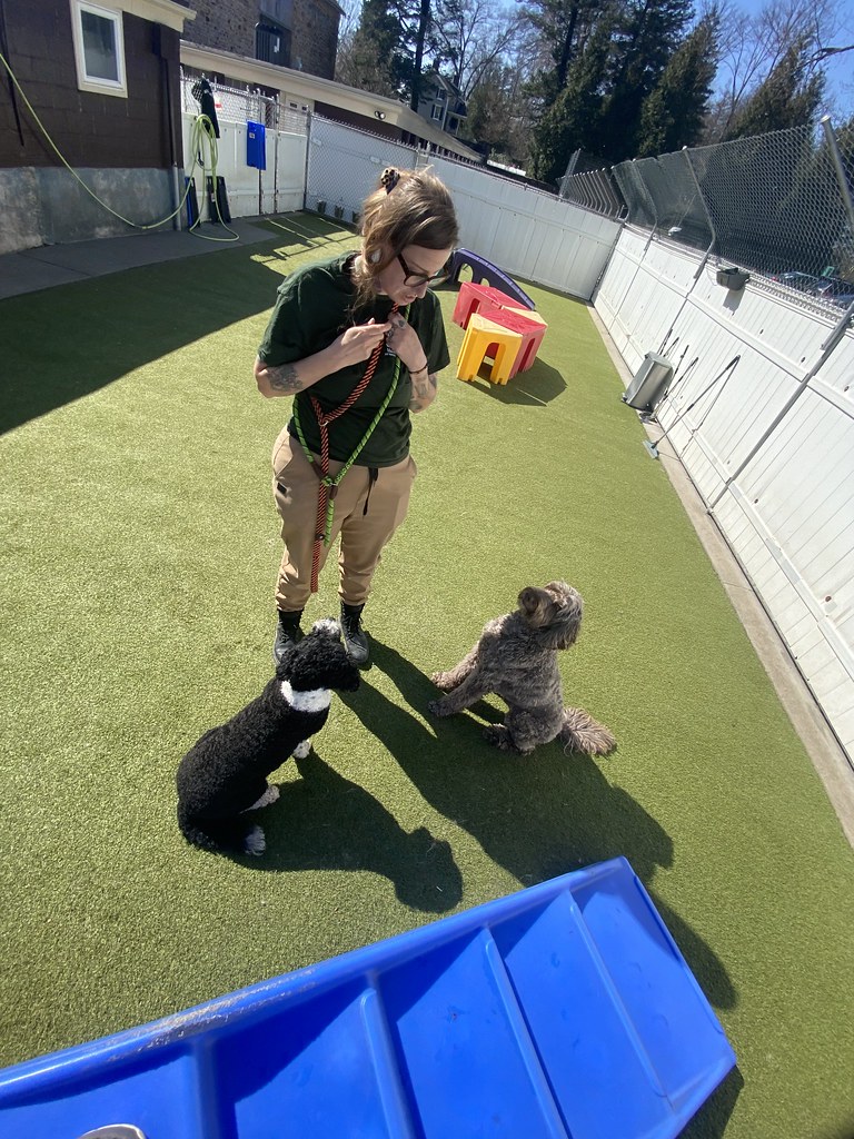 Untitled Holiday House Pet Resort and Training Center Flickr