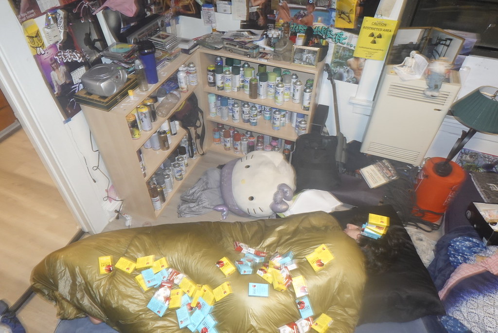 Artists living comfortably Corey Laflesh Flickr