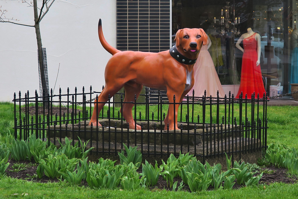 Morley's Dog, Johnstown, PA Morley's Dog statue, corner of… Flickr