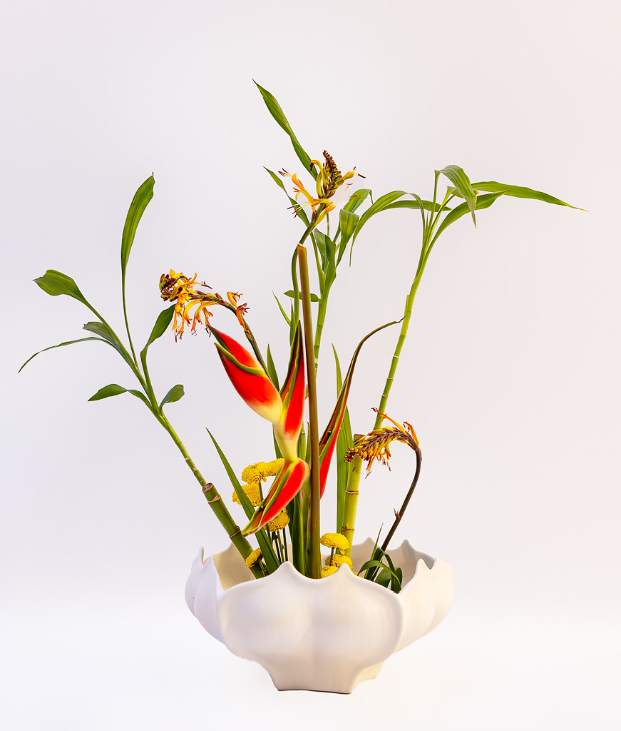 Ikebana 5 Naples Botanical Garden, Naples, FL Bill Flickr