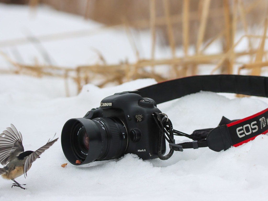 IMG_9179 Gilles Charbonneau Flickr