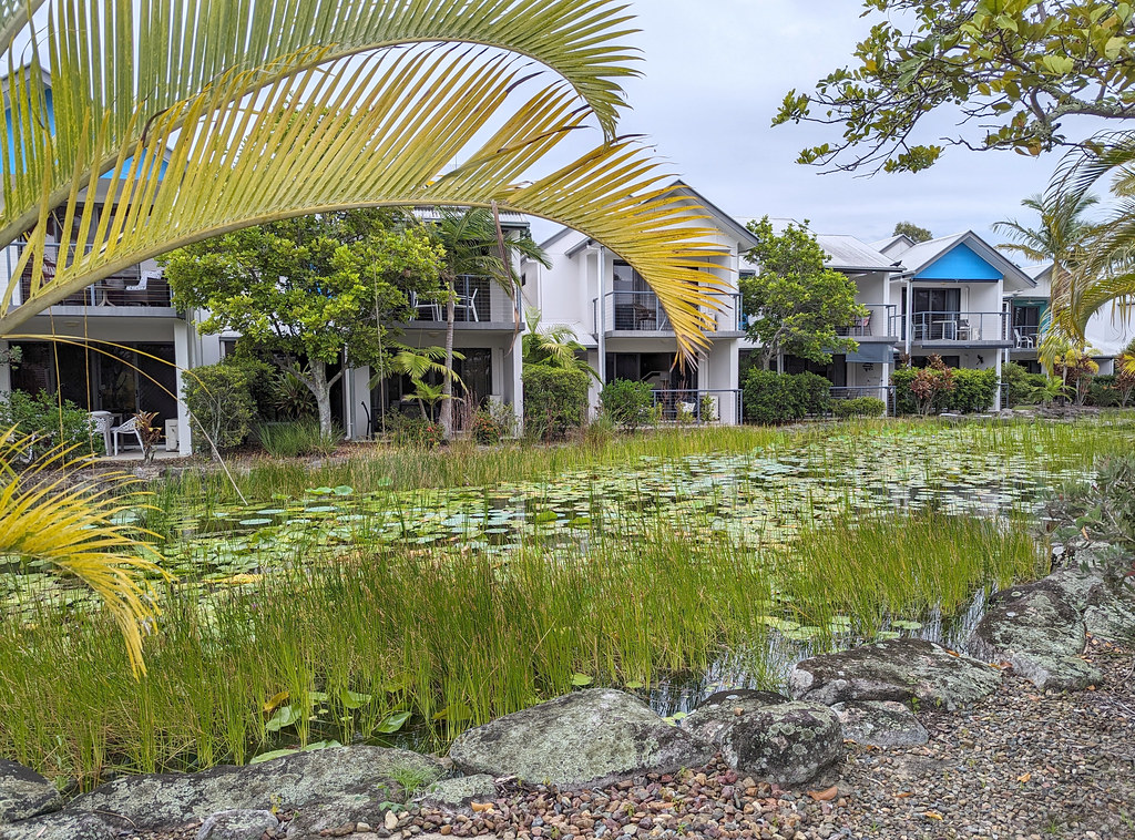 0741 Apartments + Lilypad Lake anzri.bowls Flickr