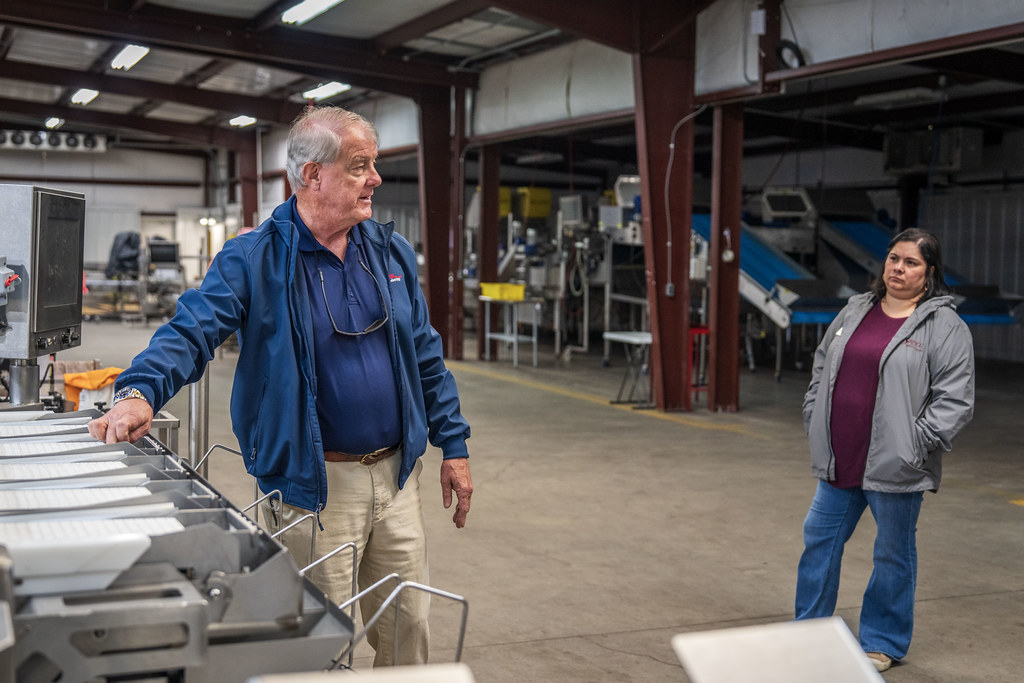 Ivanhoe Blueberries_10 NC Farm Bureau Flickr