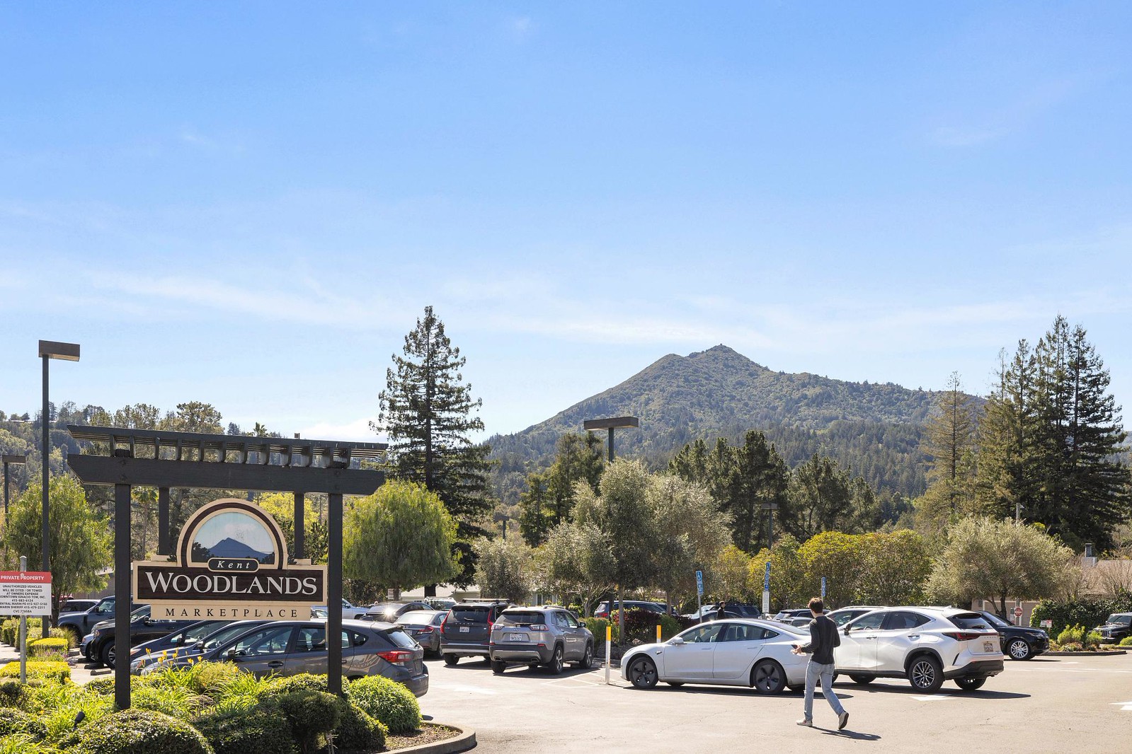 221 Poplar Drive, Kentfield Presented by Tracy McLaughlin