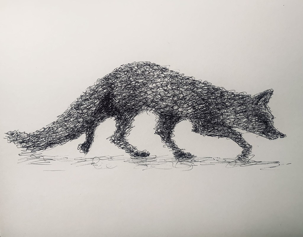 Ballpoint pen Scribble drawing by jmsw on sketchbook card.… Flickr