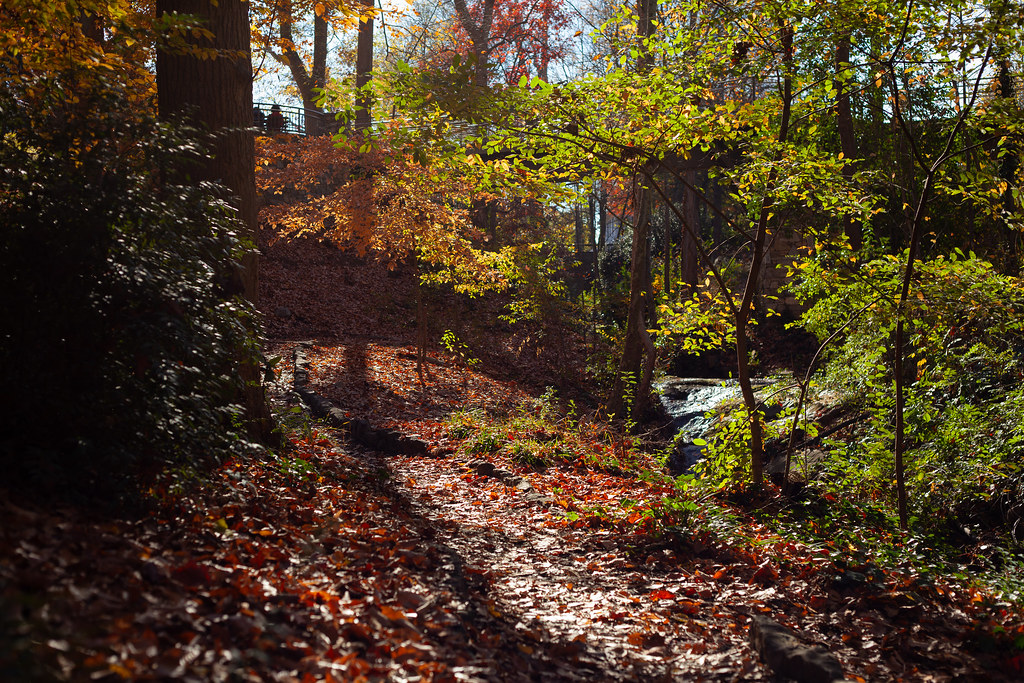 Greenville Downtown Mason Fulton Flickr