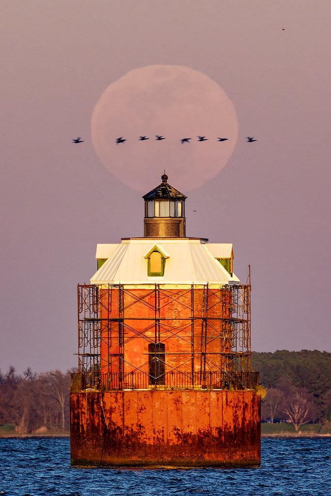 Full moon rising at Sandy Point State Park, MD; no. 2. Flickr