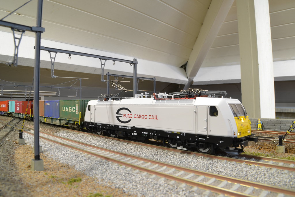 ECR met containertrein in MolCargo Erwin Janssens Flickr