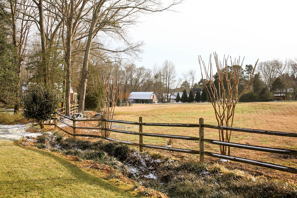 Winter scene Quail Run Anderson SC DAVID THOMPSON Flickr
