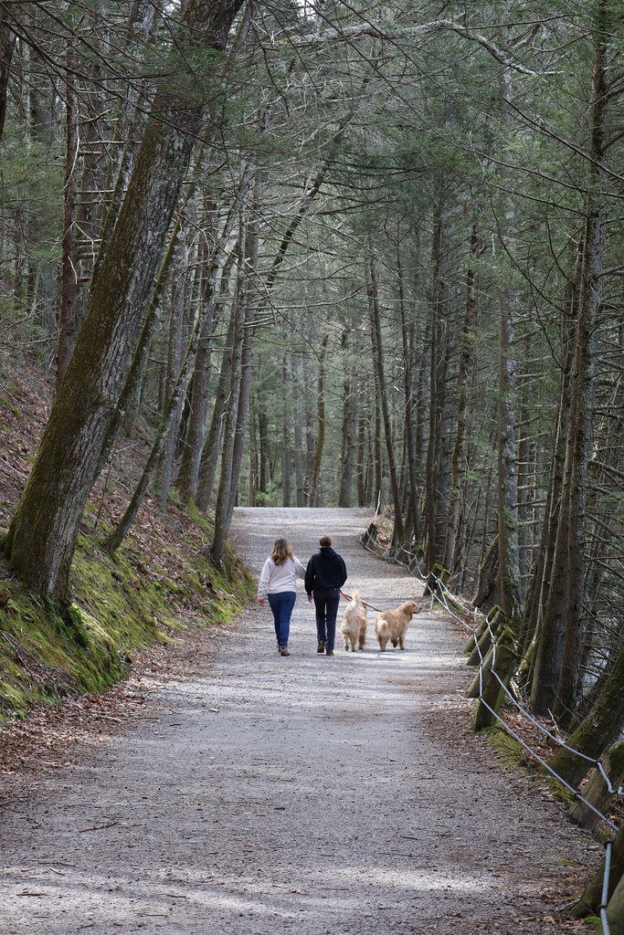 Peaceful Steep Rock Preserve John Hart Flickr