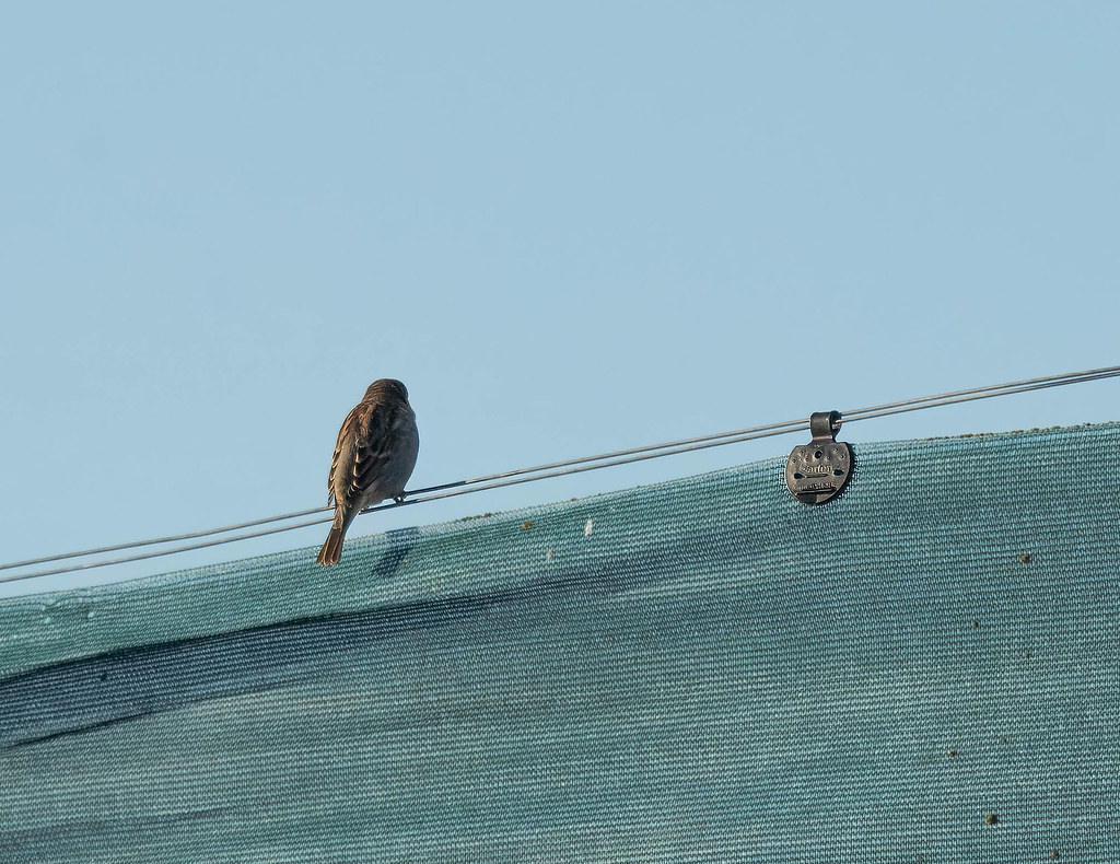 2024 D Apr 7th Quaids Rd to Radcliffe Creek Reserve Flickr