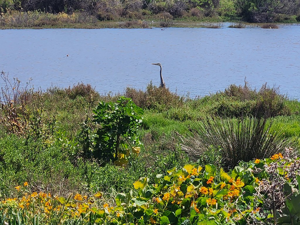 Playa La Mision, Baja California, Mexico Michael Flickr