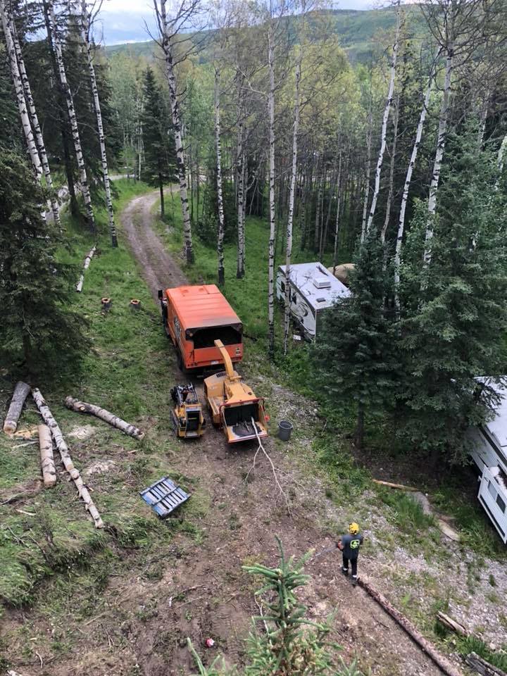 Apex Tree Removal Calgary Apex Tree Removal Calgary Flickr