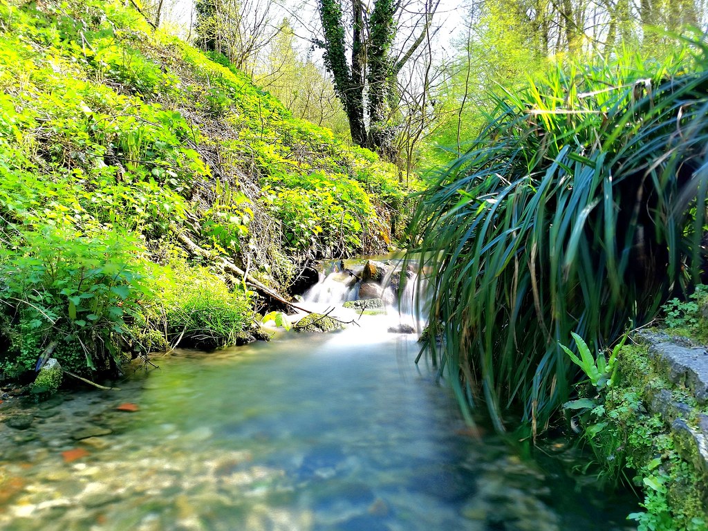 Washpool near chiseldon 💧 bsh Craig Dickinson Flickr
