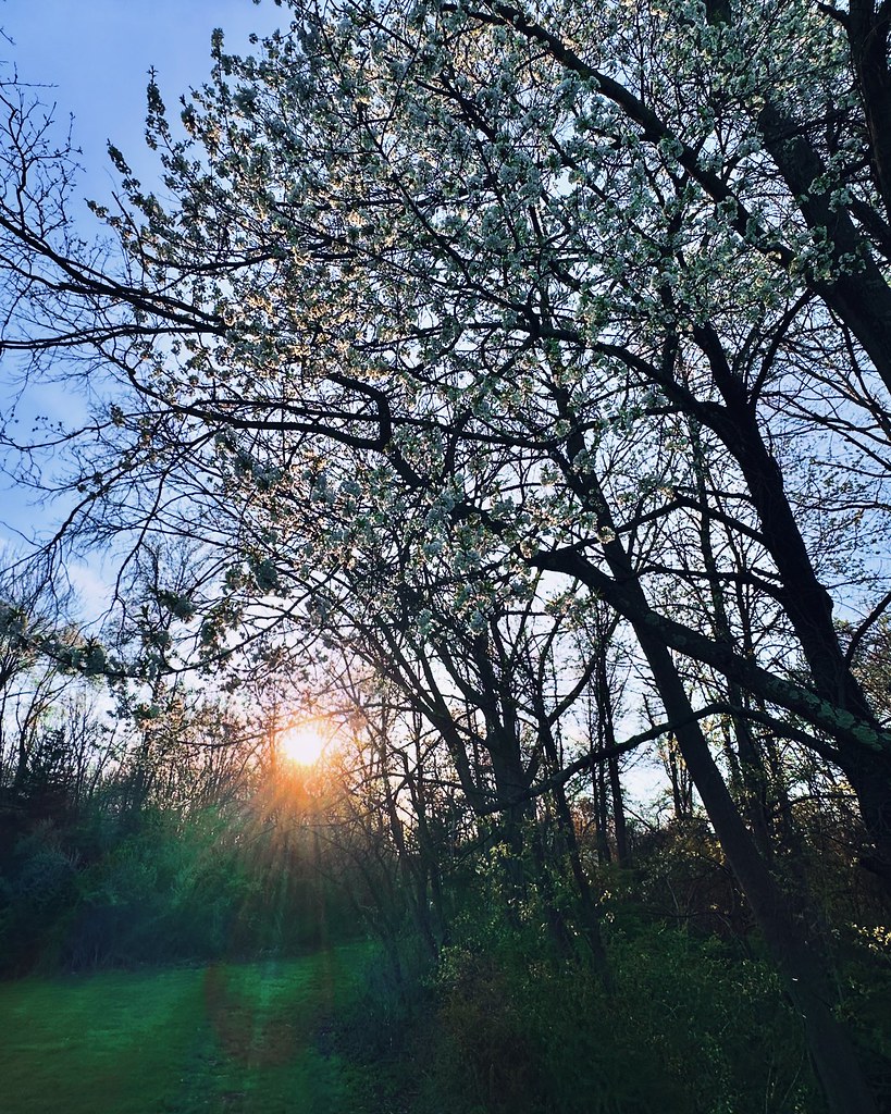 Pleasant Valley Park Basking Ridge, NJ 16 April 2024 Flickr