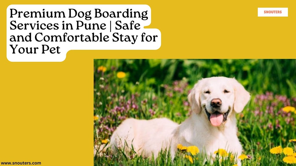 Dog Boarding in Pune Your Pup's Home Away From Home Boo… Flickr