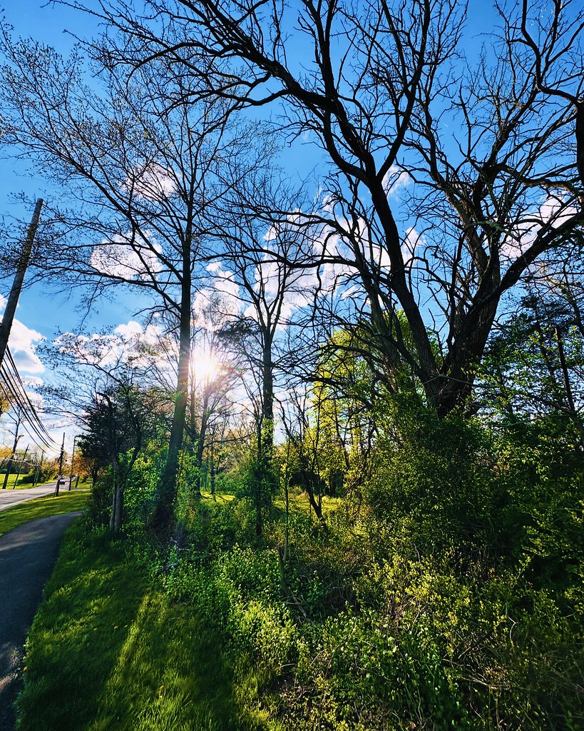 Pleasant Valley Park Basking Ridge, NJ 20 April 2024 Flickr