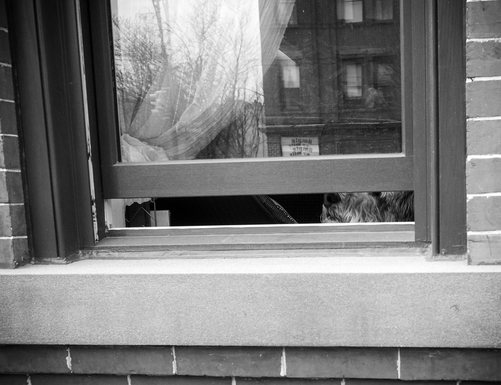 Prospect Heights 2024 Robert Hajek Flickr