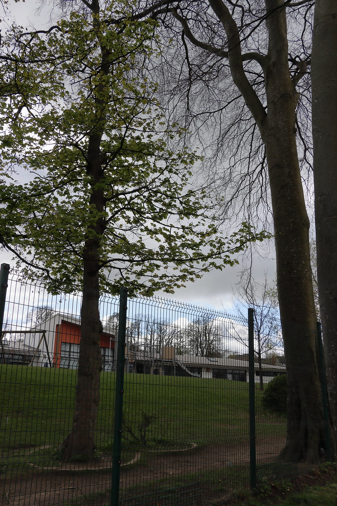 Westburn Road,Aberdeen_apr 24_7903 Alan Longmuir. Flickr