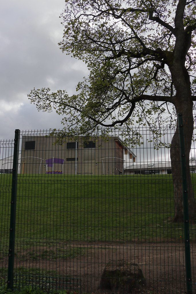 Westburn Road,Aberdeen_apr 24_7904 Alan Longmuir. Flickr