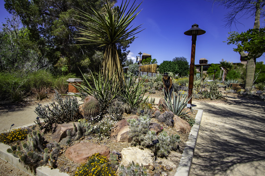 Springs Preserve Garden Renee Grayson Flickr