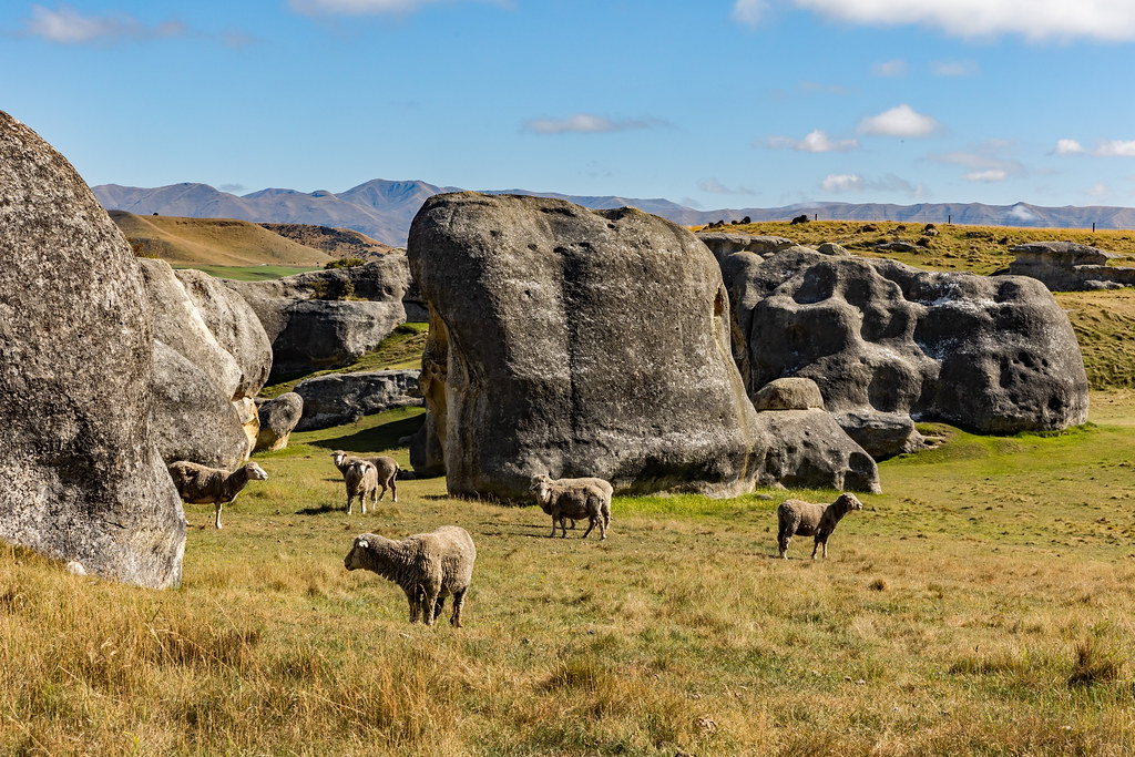 Elephant Rocks Near Duntroon NZ 3 The Elephant Rocks nea… Flickr