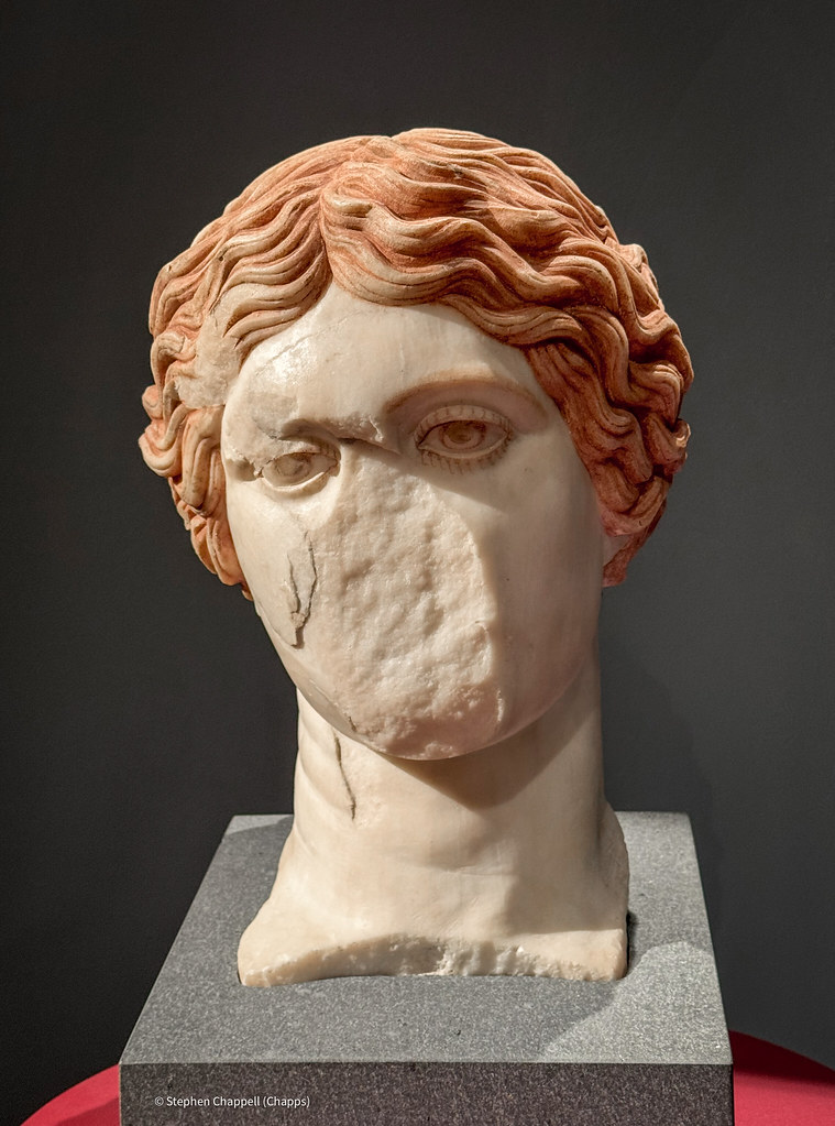 Polychrome head of an Amazon statue from Herculaneum Flickr