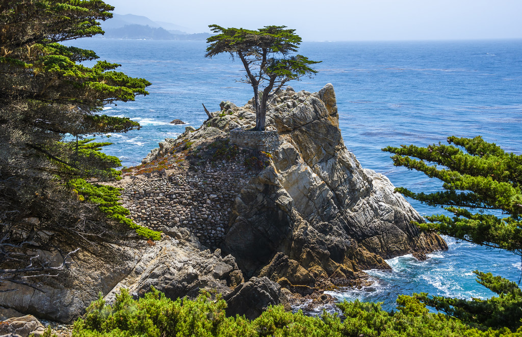 Lone Cypress Pebble Beach Carmel by the Sea California Coast Pacific