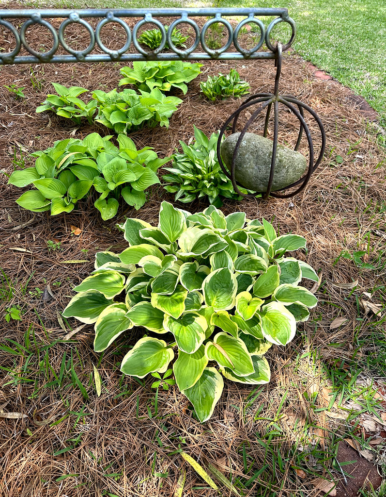 Home and Neighborhood, Pine Valley, Wilmington, NC AprilMay, 2024 Flickr