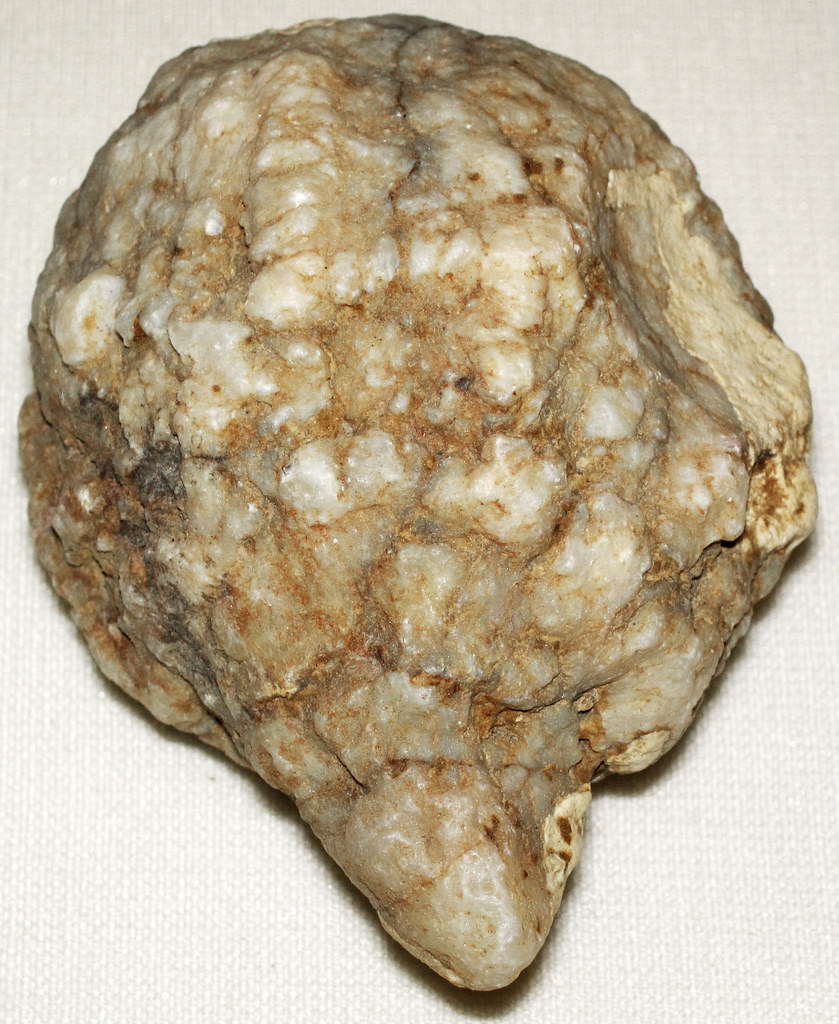 Geodized rugose coral (Mississippian; Heltonville, Indiana… Flickr