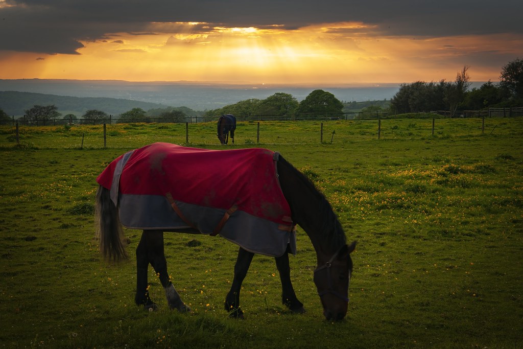 Biddulph Moor GREG WOOLLISCROFT Flickr