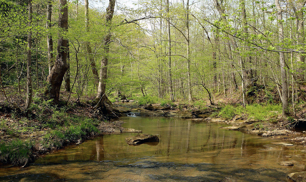 Shawnee State Park Southern Ohio. Spring 2024. Zev790 Flickr