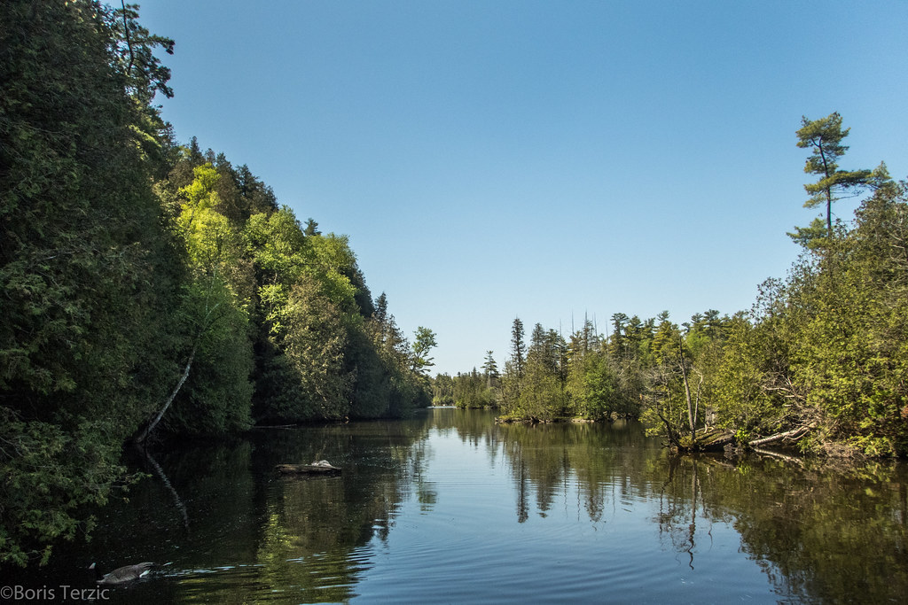 P5190641 Eramosa River flowing wide through Rockwood Conse… Flickr